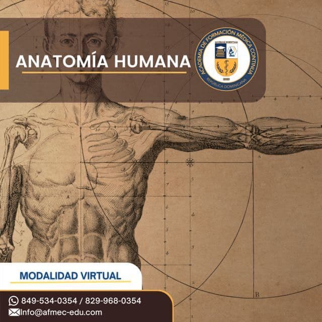 Tutorías en Ciencias Básicas de la Salud: Anatomía Humana