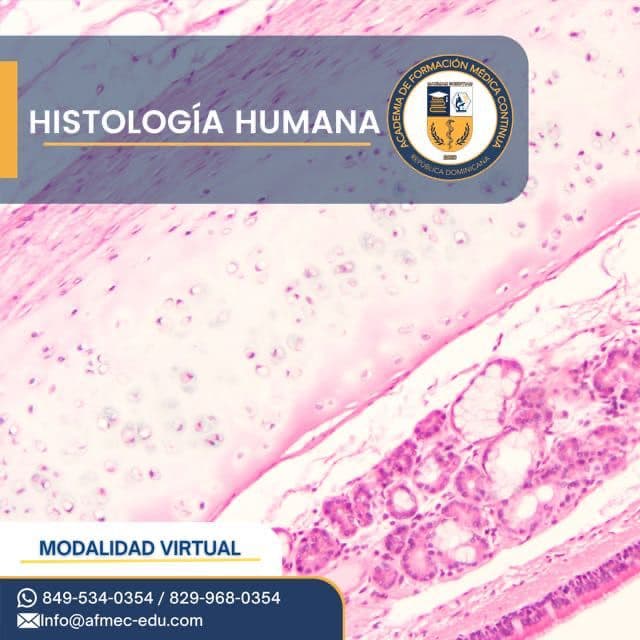 Tutorías en Ciencias Básicas de la Salud: Histología Humana